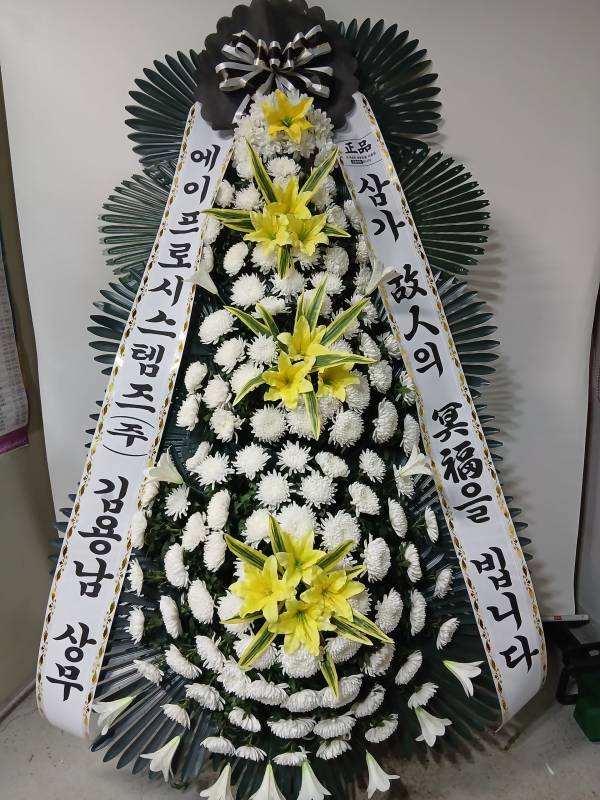 업로드 이미지