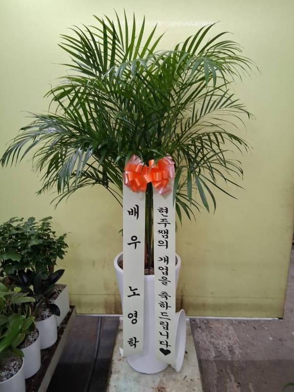 업로드 이미지