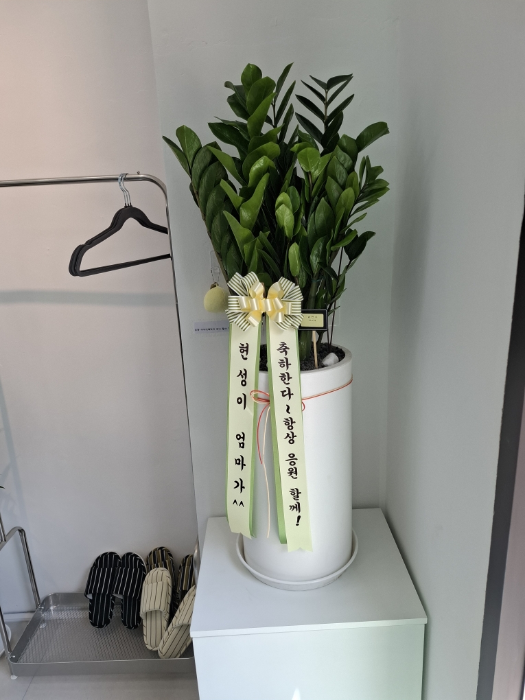 업로드 이미지