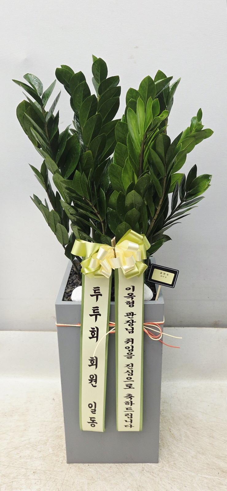 업로드 이미지