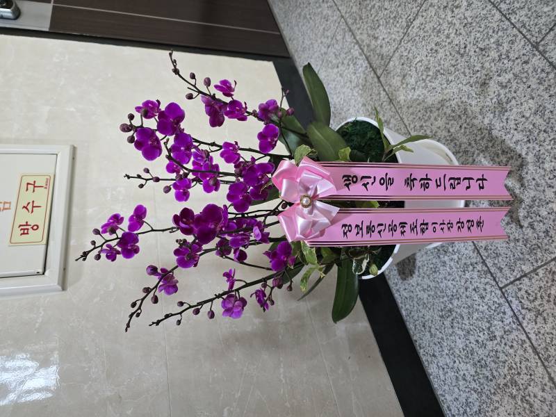 업로드 이미지