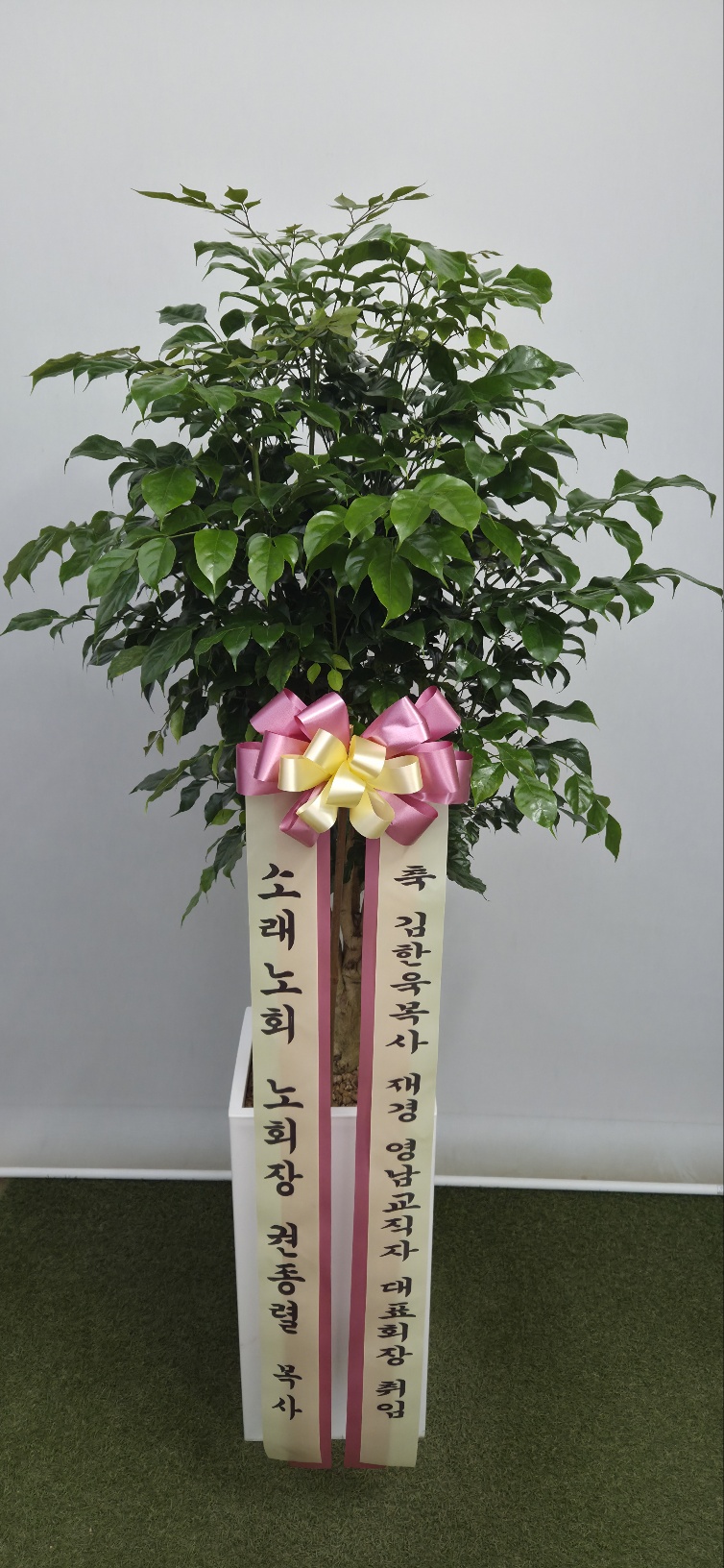 업로드 이미지