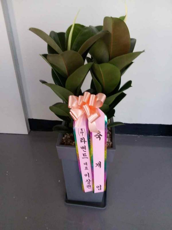 업로드 이미지