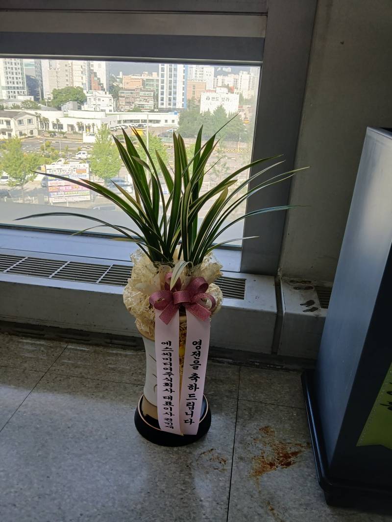 업로드 이미지