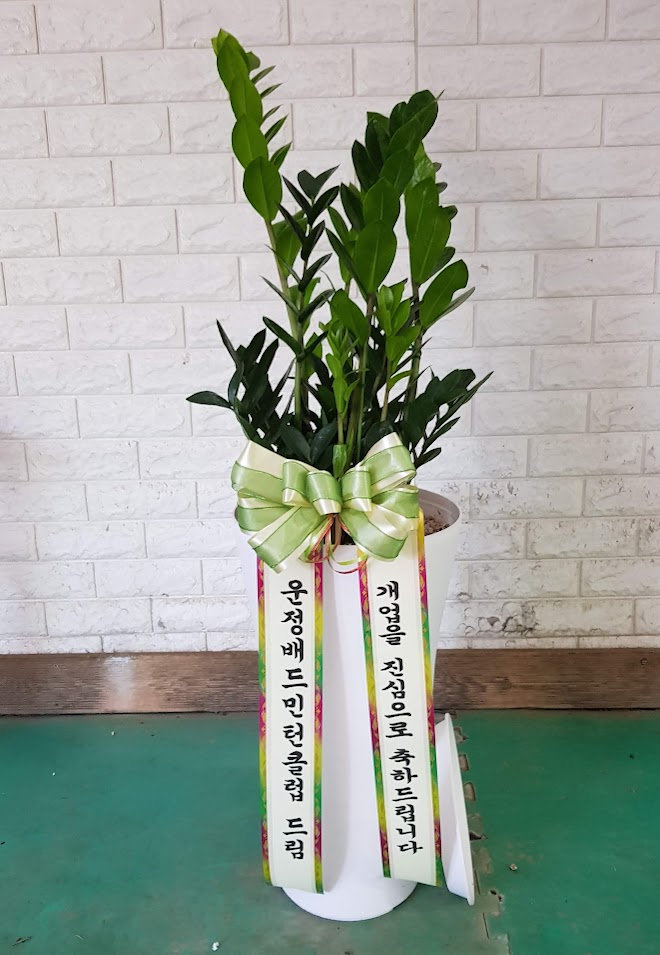 업로드 이미지
