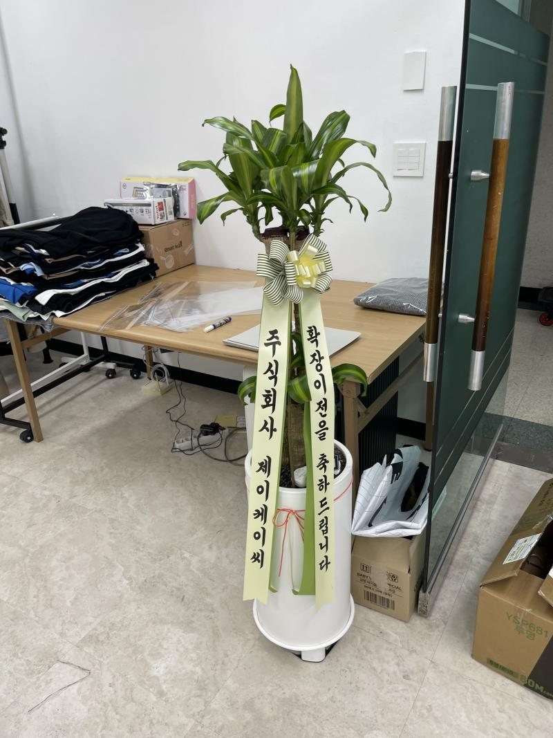 업로드 이미지