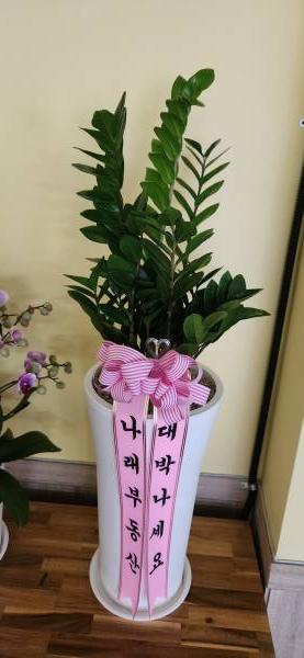 업로드 이미지