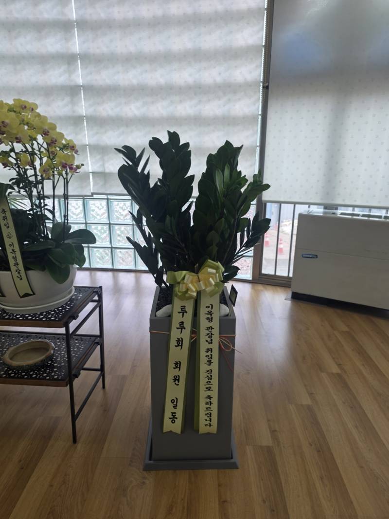 업로드 이미지