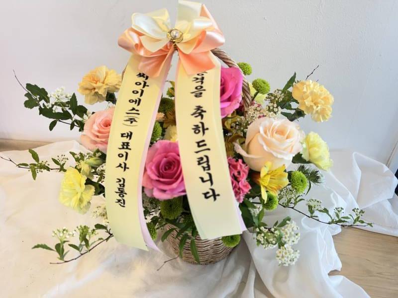 업로드 이미지