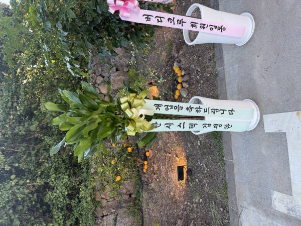 업로드 이미지