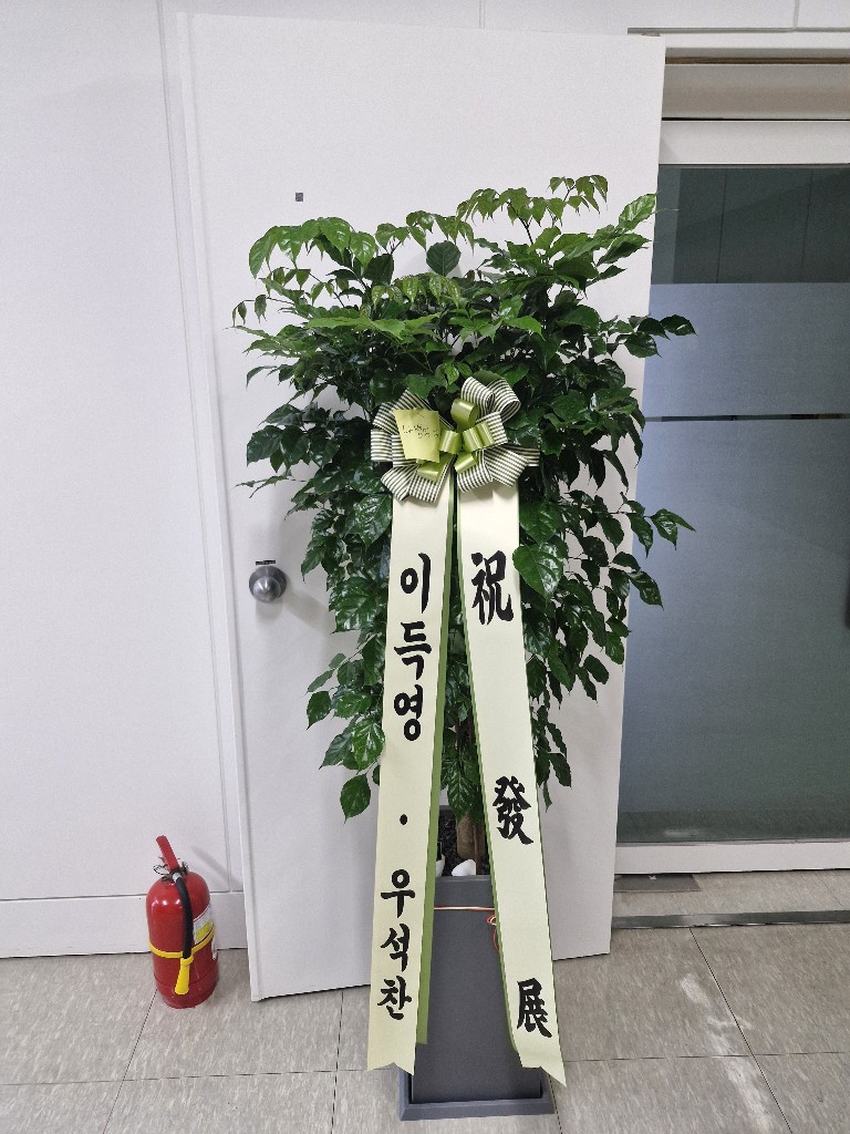 업로드 이미지