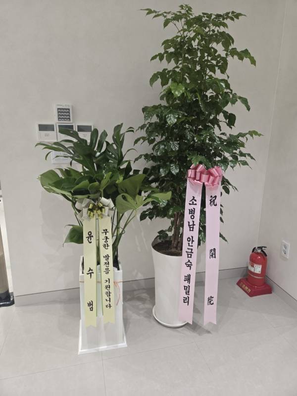 업로드 이미지