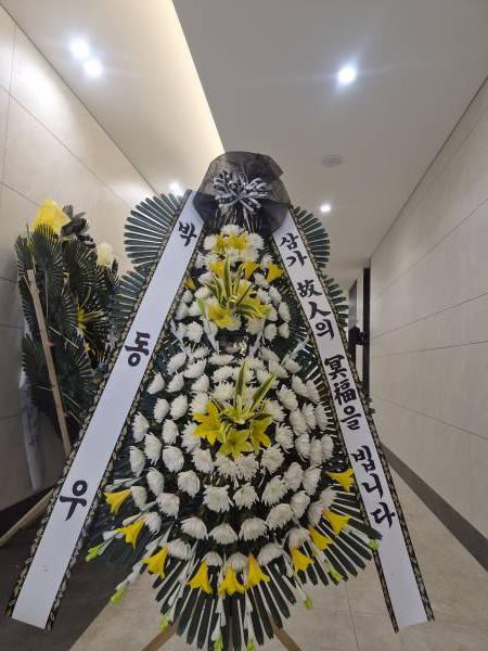 업로드 이미지