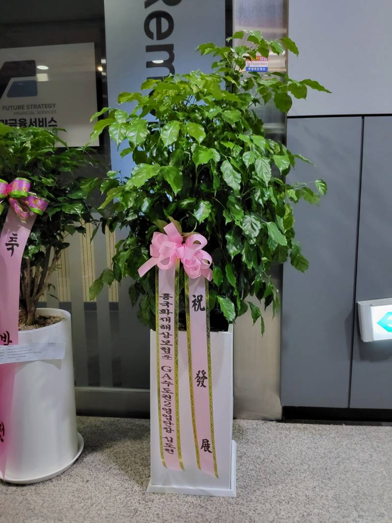 업로드 이미지