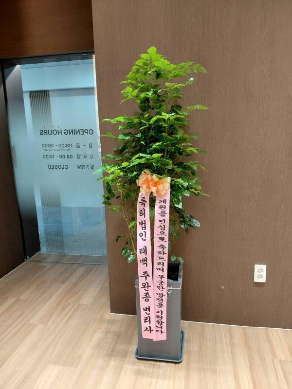 업로드 이미지