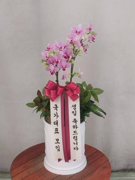 업로드 이미지