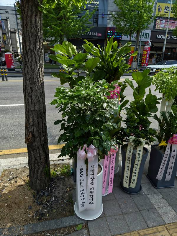 업로드 이미지