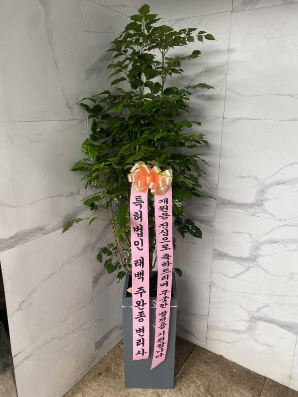 업로드 이미지