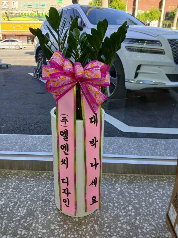 업로드 이미지