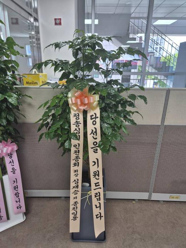 업로드 이미지