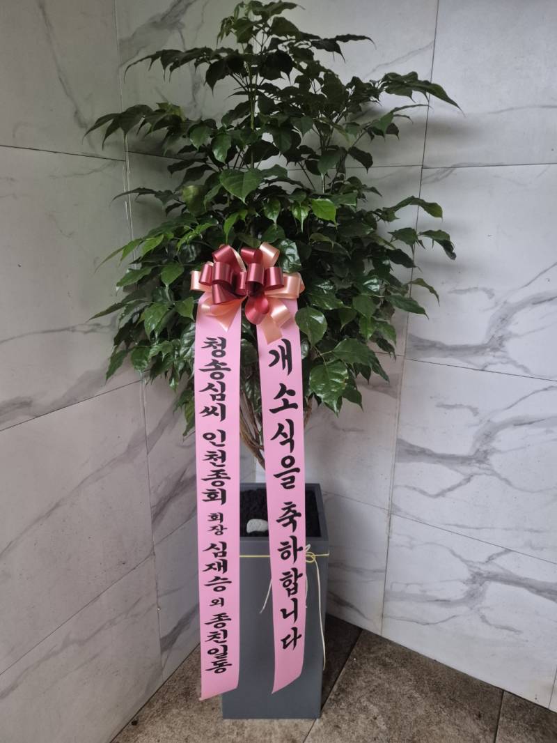 업로드 이미지