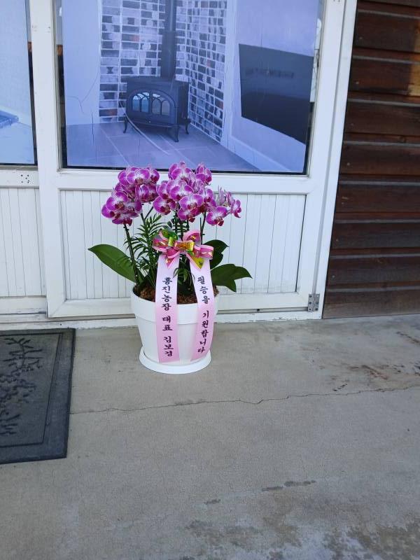 업로드 이미지