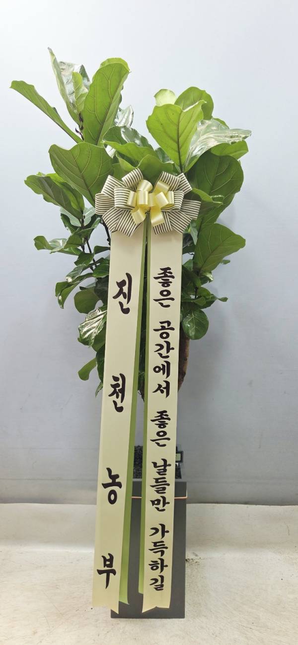 업로드 이미지