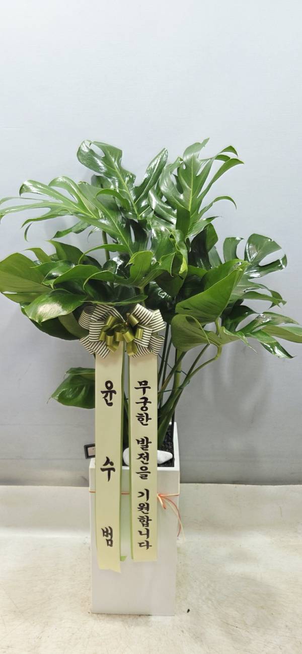 업로드 이미지