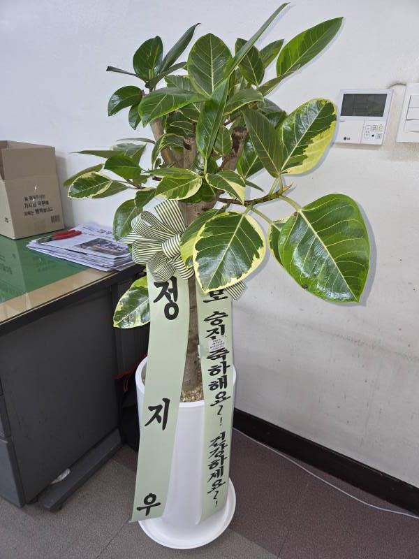 업로드 이미지