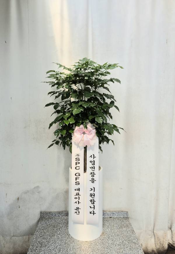 업로드 이미지