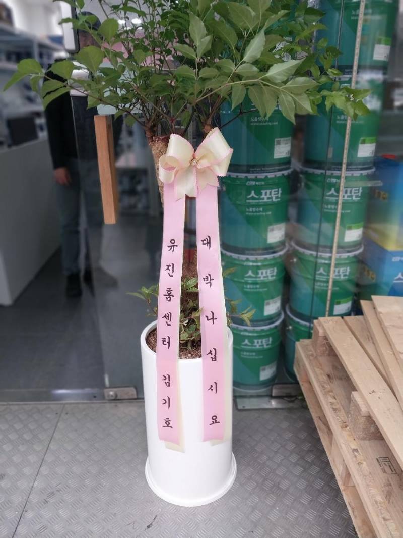 업로드 이미지