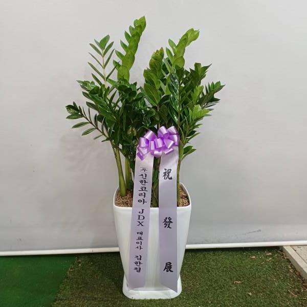업로드 이미지