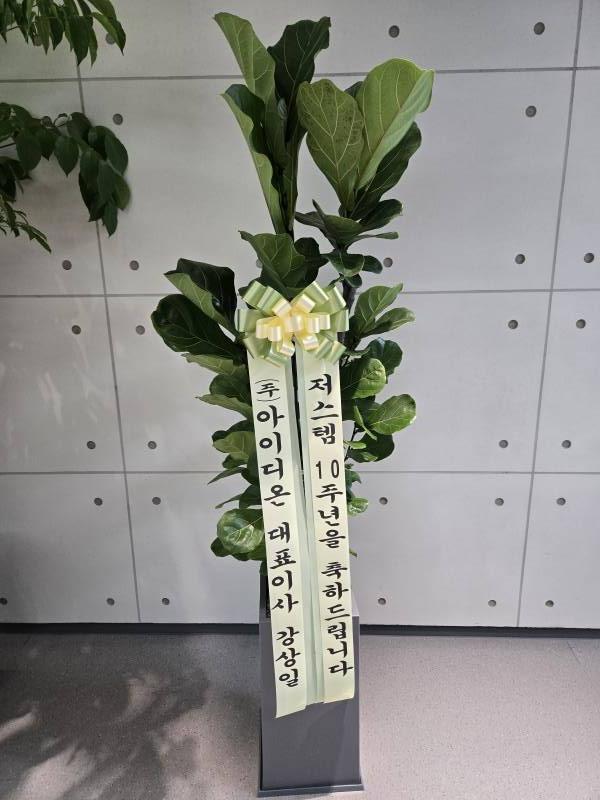 업로드 이미지