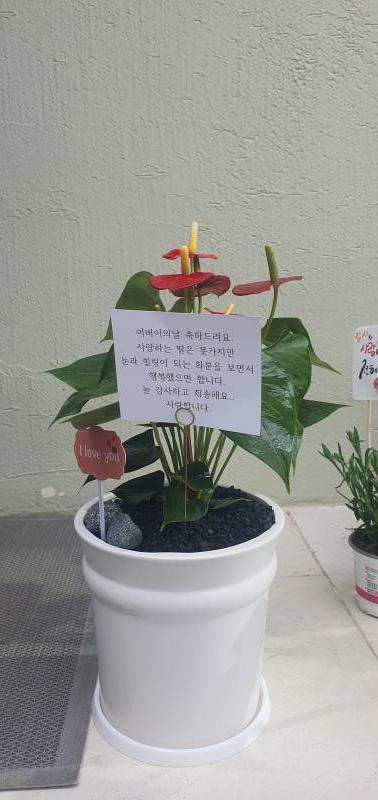업로드 이미지