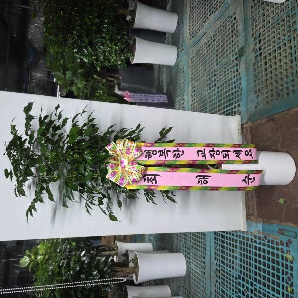 업로드 이미지