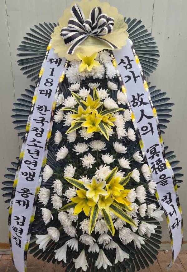 업로드 이미지