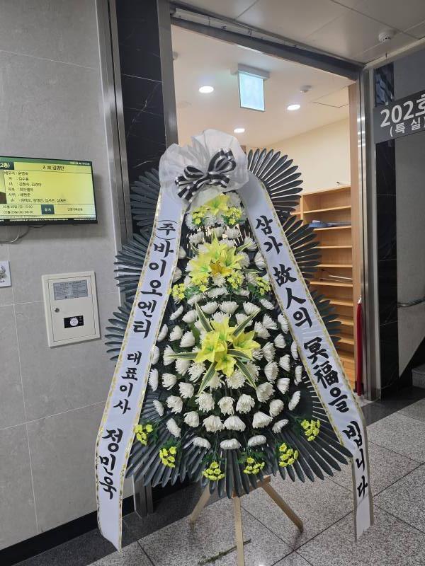 업로드 이미지