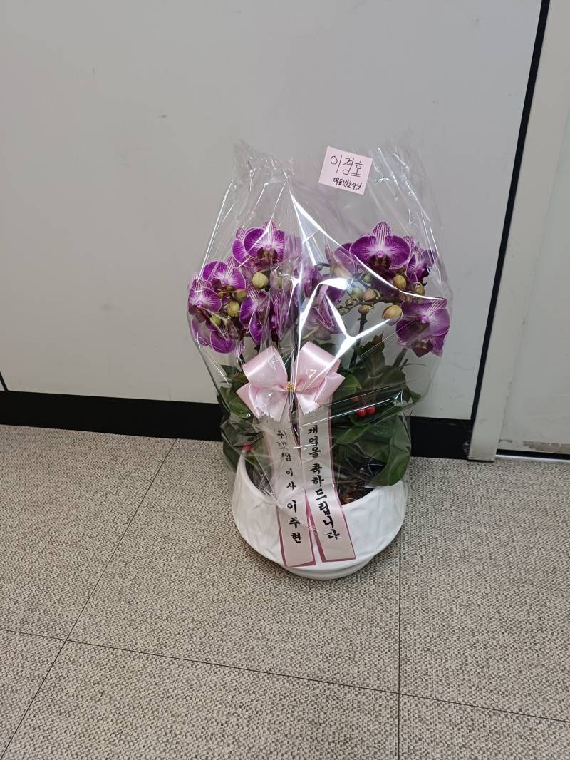 업로드 이미지