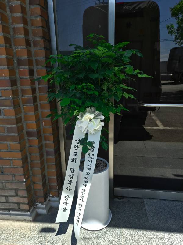 업로드 이미지