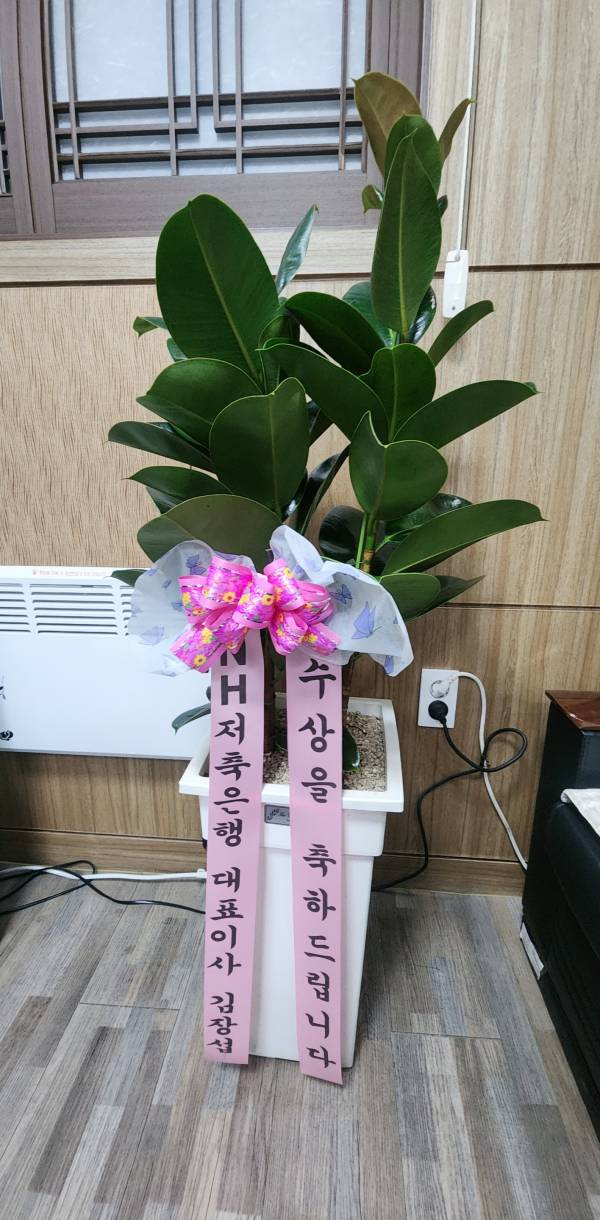 업로드 이미지