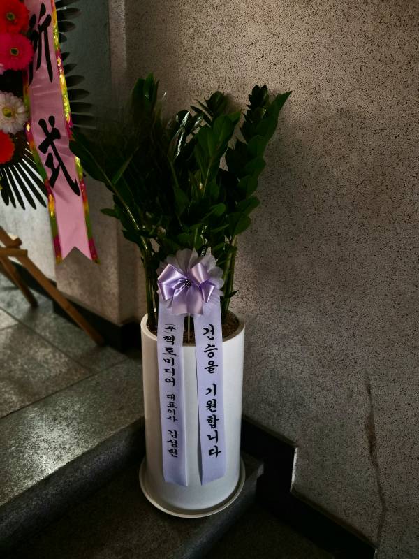 업로드 이미지