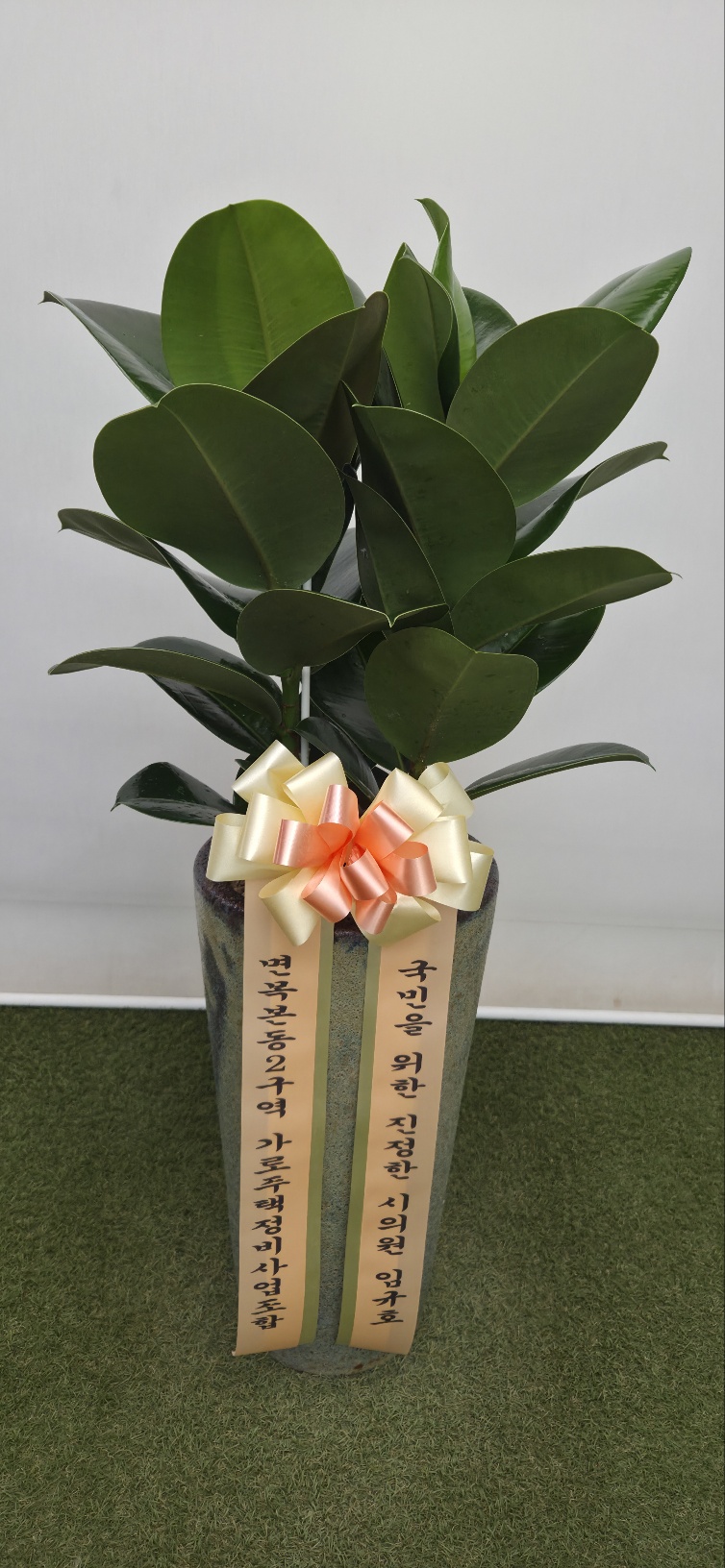 업로드 이미지