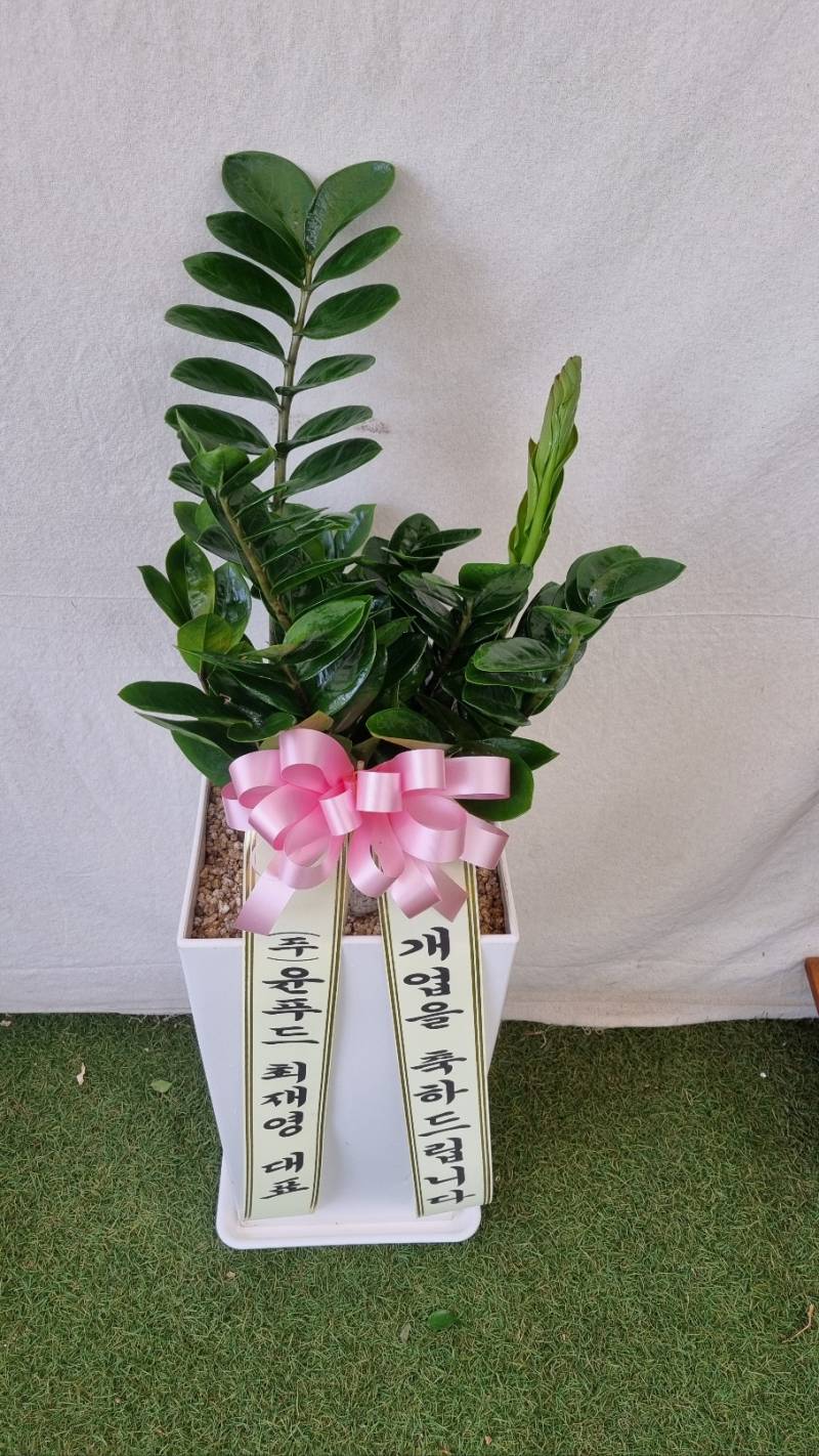 업로드 이미지