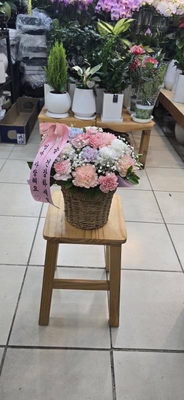 업로드 이미지