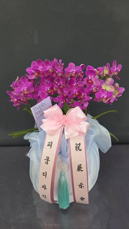 업로드 이미지