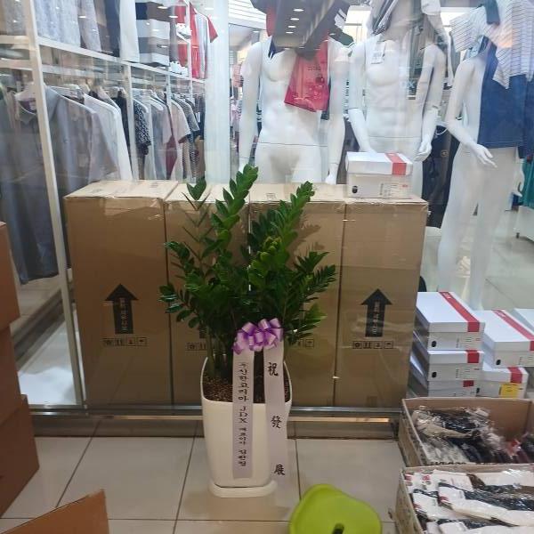 업로드 이미지