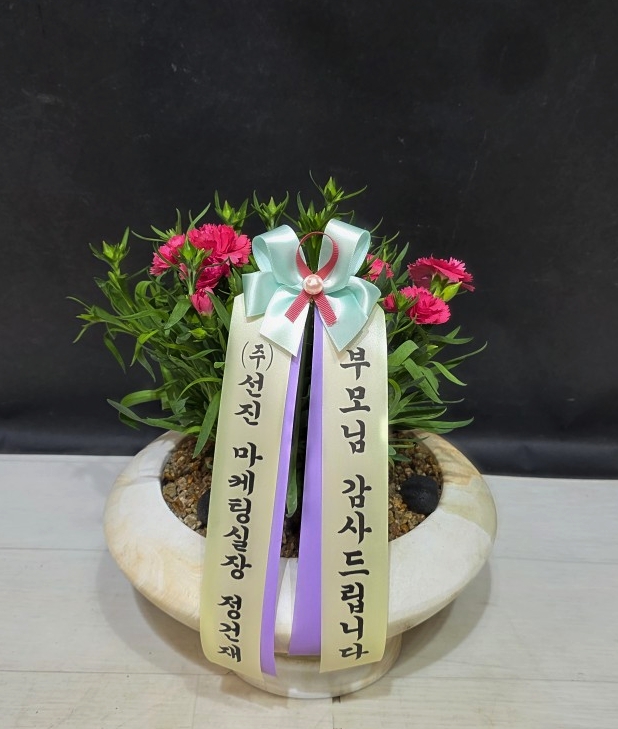 업로드 이미지