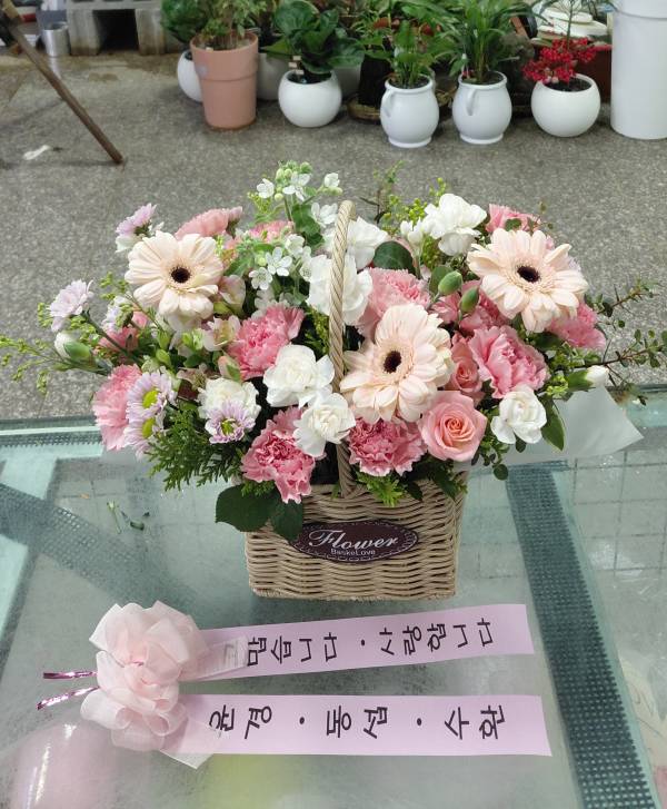 업로드 이미지