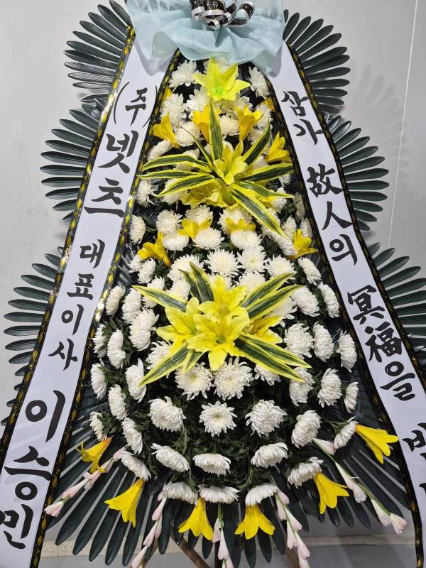 업로드 이미지