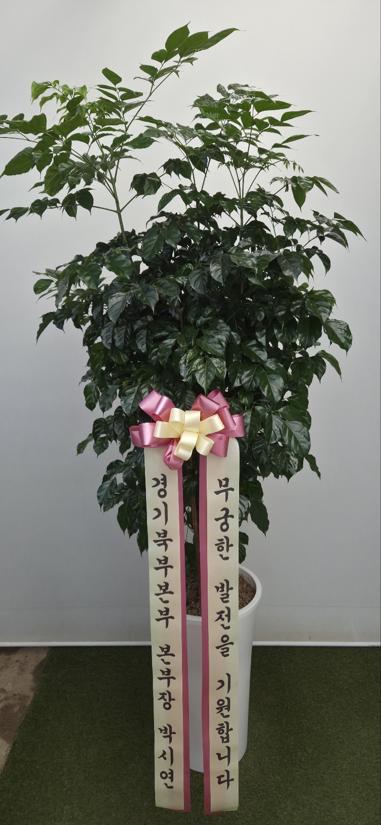 업로드 이미지